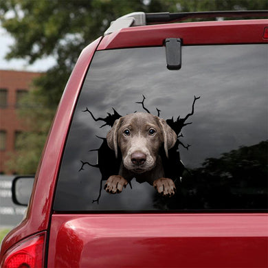 [dt0768-snf-tnt]-labrador-crack-car-sticker-dog-lovers
