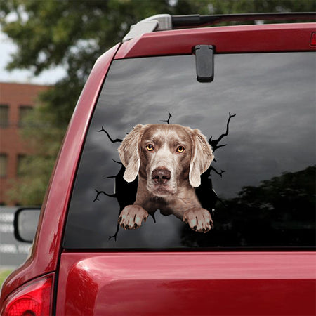 [dt0769-snf-tnt]-labrador-crack-car-sticker-dog-lovers