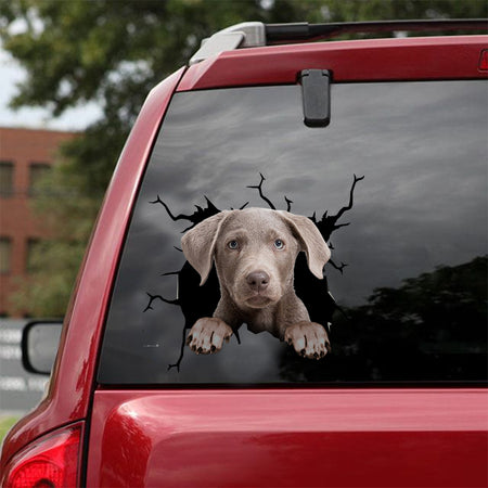 [dt0770-snf-tnt]-labrador-crack-car-sticker-dog-lovers