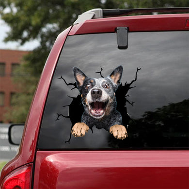[dt0774-snf-tnt]-australian-cattle-dog-crack-car-sticker-dog-lovers