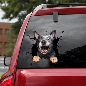 [dt0774-snf-tnt]-australian-cattle-dog-crack-car-sticker-dog-lovers