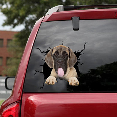 [dt0795-snf-tnt]-english-mastiff-crack-car-sticker-dog-lovers
