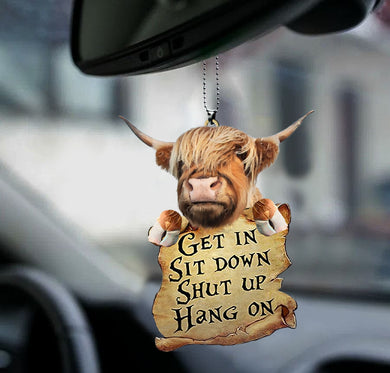 highland-cattle-ornament-decorate-car