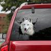 [dt0806-snf-tnt]-wolf-cat-crack-car-sticker-wolf-lovers