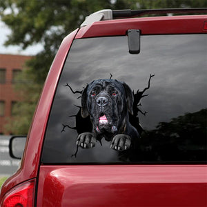 [dt0826-snf-tnt]-neapolitan-mastiff-crack-car-sticker-dog-lovers