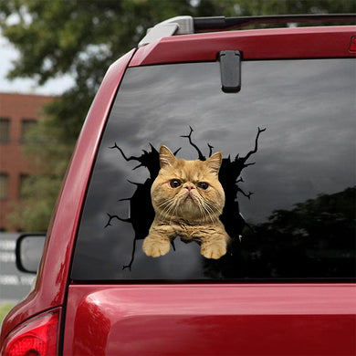 [dt0840-snf-tnt]-munchkin-cat-crack-car-sticker-cat-lovers