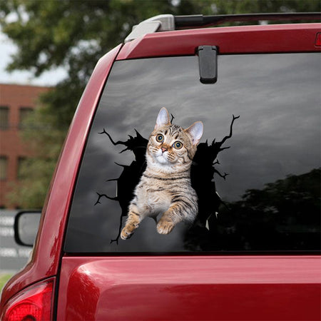 [dt0841-snf-tnt]-munchkin-cat-crack-car-sticker-cat-lovers