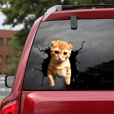 [dt0844-snf-tnt]-munchkin-cat-crack-car-sticker-cat-lovers