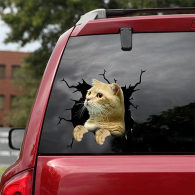 [dt0845-snf-tnt]-munchkin-cat-crack-car-sticker-cat-lovers