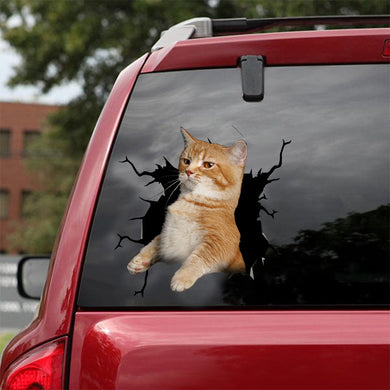 [dt0846-snf-tnt]-munchkin-cat-crack-car-sticker-cat-lovers