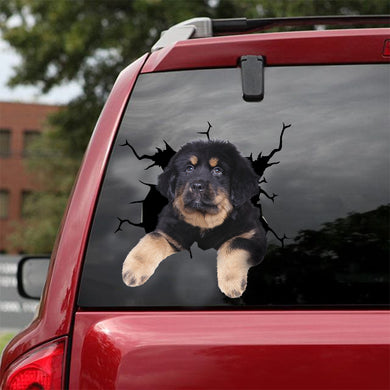 [dt0849-snf-tnt]-tibetan-mastiff-crack-car-sticker-dog-lovers