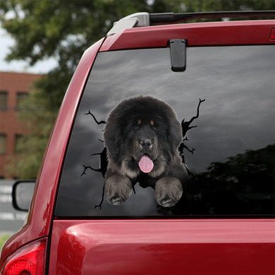 [dt0850-snf-tnt]-tibetan-mastiff-crack-car-sticker-dog-lovers