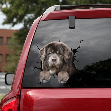 [dt0852-snf-tnt]-tibetan-mastiff-crack-car-sticker-dog-lovers