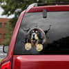 [dt0854-snf-tnt]-tibetan-mastiff-crack-car-sticker-dog-lovers