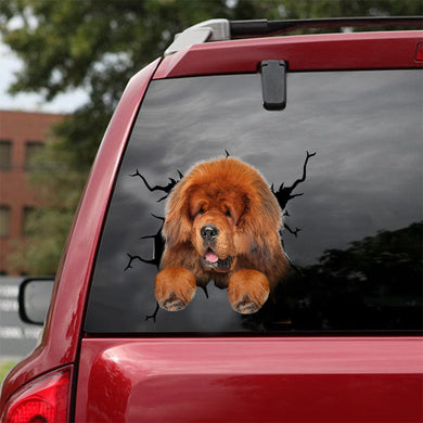 [dt0859-snf-tnt]-tibetan-mastiff-crack-car-sticker-dog-lovers