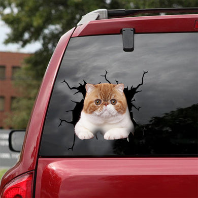[dt0866-snf-tnt]-exotic-cat-crack-car-sticker-cat-lovers