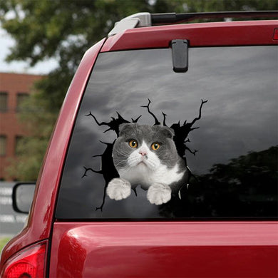 [dt0867-snf-tnt]-exotic-cat-crack-car-sticker-cat-lovers