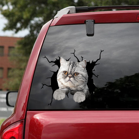 [dt0868-snf-tnt]-exotic-cat-crack-car-sticker-cat-lovers
