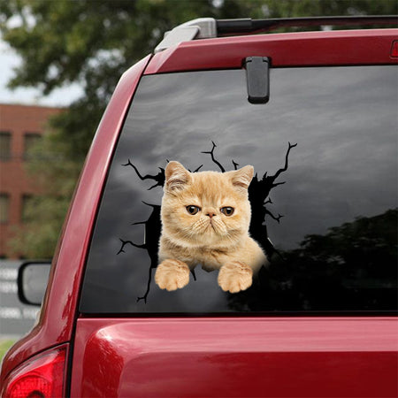 [dt0869-snf-tnt]-exotic-cat-crack-car-sticker-cat-lovers