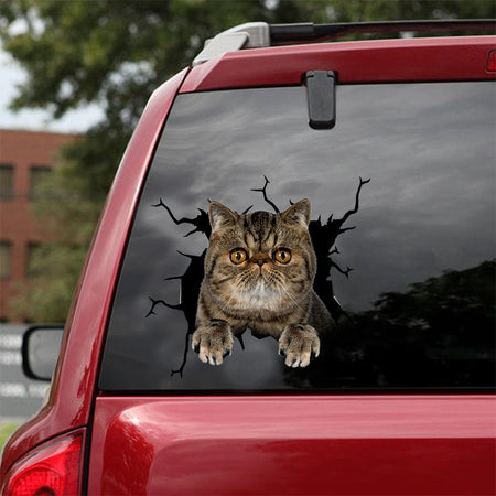 [dt0870-snf-tnt]-exotic-cat-crack-car-sticker-cat-lovers