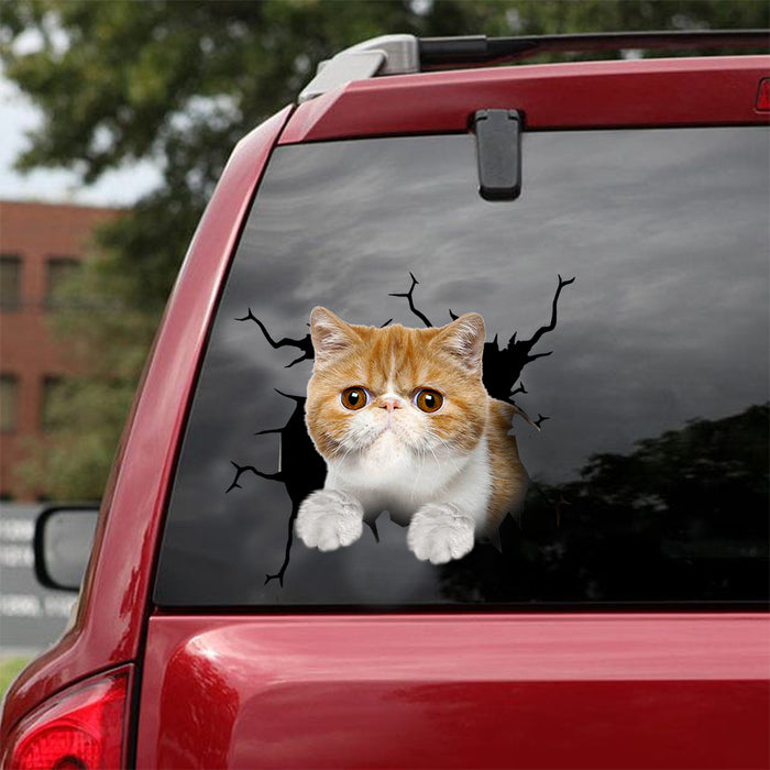 [dt0872-snf-tnt]-exotic-cat-crack-car-sticker-cat-lovers