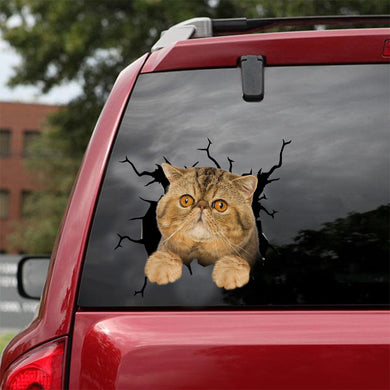 [dt0874-snf-tnt]-exotic-cat-crack-car-sticker-cat-lovers