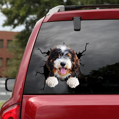 [dt0891-snf-tnt]-bernedoodle-crack-car-sticker-dog-lovers