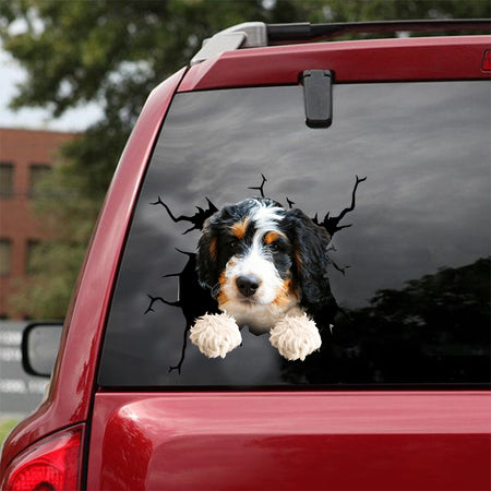 [dt0894-snf-tnt]-bernedoodle-crack-car-sticker-dog-lovers