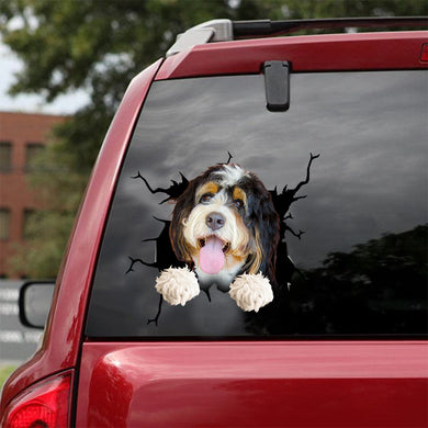 [dt0896-snf-tnt]-bernedoodle-crack-car-sticker-dog-lovers