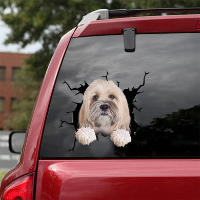 [dt0906-snf-tnt]-lhasa-apso-crack-car-sticker-dog-lovers