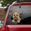 [dt0907-snf-tnt]-lhasa-apso-crack-car-sticker-dog-lovers