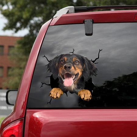 [dt0920-snf-tnt]-brittany-crack-car-sticker-dog-lovers
