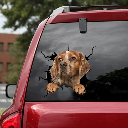 [dt0922-snf-tnt]-brittany-crack-car-sticker-dog-lovers