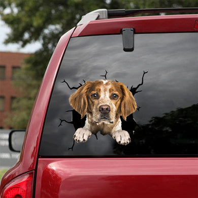 [dt0923-snf-tnt]-brittany-crack-car-sticker-dog-lovers