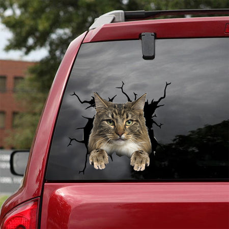 [dt0937-snf-tnt]-norwegian-forest-cat-crack-car-sticker-cat-lovers