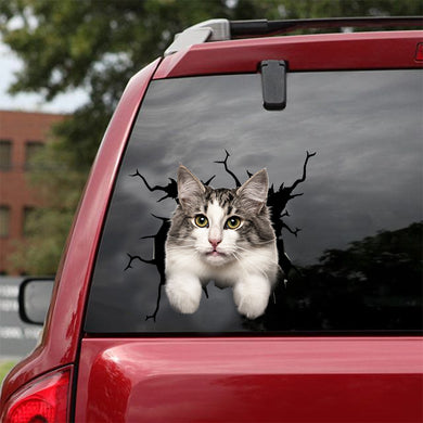 [dt0938-snf-tnt]-norwegian-forest-cat-crack-car-sticker-cat-lovers