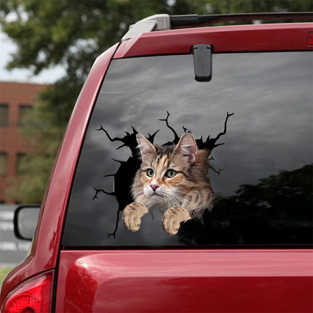 [dt0940-snf-tnt]-norwegian-forest-cat-crack-car-sticker-cat-lovers