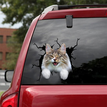 [dt0942-snf-tnt]-norwegian-forest-cat-crack-car-sticker-cat-lovers