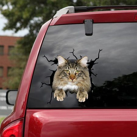 [dt0943-snf-tnt]-norwegian-forest-cat-crack-car-sticker-cat-lovers