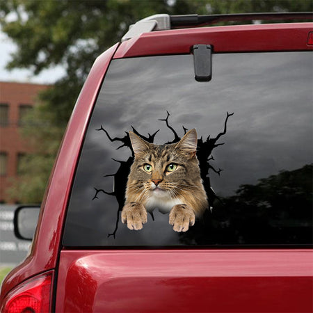 [dt0944-snf-tnt]-norwegian-forest-cat-crack-car-sticker-cat-lovers