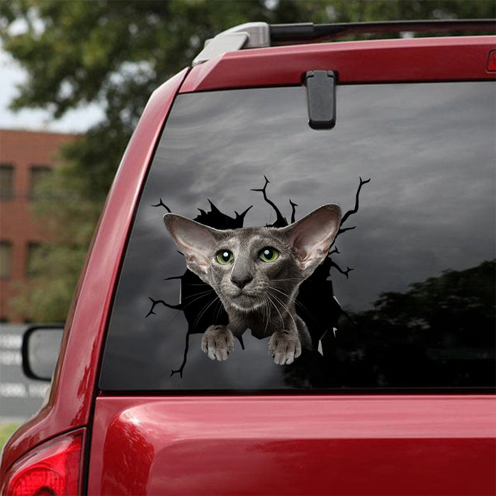 [dt0952-snf-tnt]-oriental-shorthair-cat-crack-car-sticker-cat-lovers