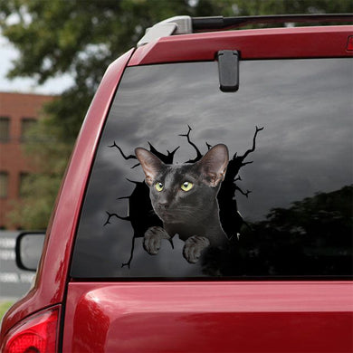 [dt0955-snf-tnt]-oriental-shorthair-cat-crack-car-sticker-cat-lovers