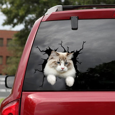 [dt0961-snf-tnt]-ragamuffin-cat-crack-car-sticker-cat-lovers