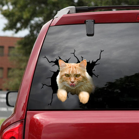 [dt0962-snf-tnt]-ragamuffin-cat-crack-car-sticker-cat-lovers
