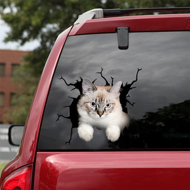 [dt0963-snf-tnt]-ragamuffin-cat-crack-car-sticker-cat-lovers