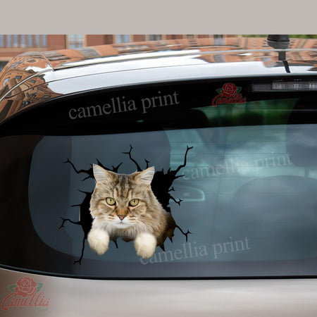Ragamuffin Cat Crack Stickers For Scrapbooking Funny Wall Decor Floor Stickers Gifts For Hunters