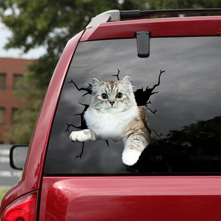 [dt0965-snf-tnt]-ragamuffin-cat-crack-car-sticker-cat-lovers