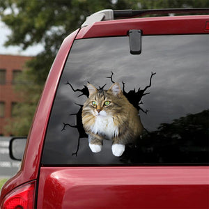 [dt0966-snf-tnt]-ragamuffin-cat-crack-car-sticker-cat-lovers