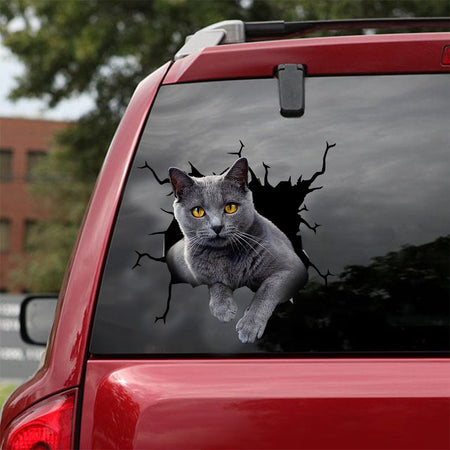 [dt0968-snf-tnt]-russian-blue-cat-crack-car-sticker-cat-lovers
