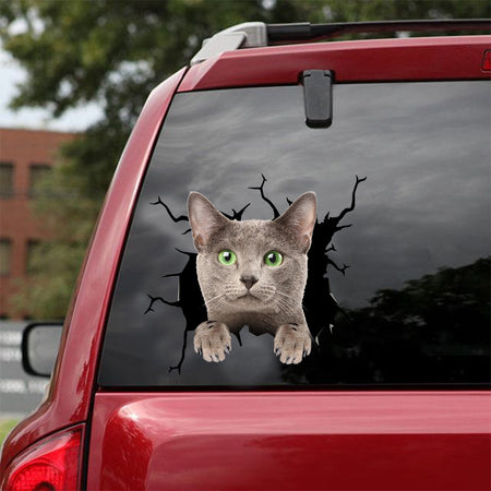 [dt0969-snf-tnt]-russian-blue-cat-crack-car-sticker-cat-lovers